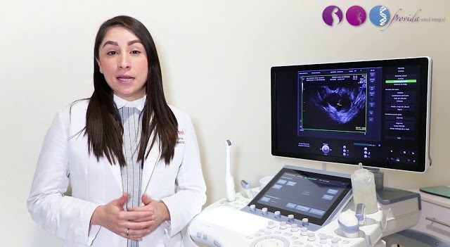 Slider image (3) PROVIDA